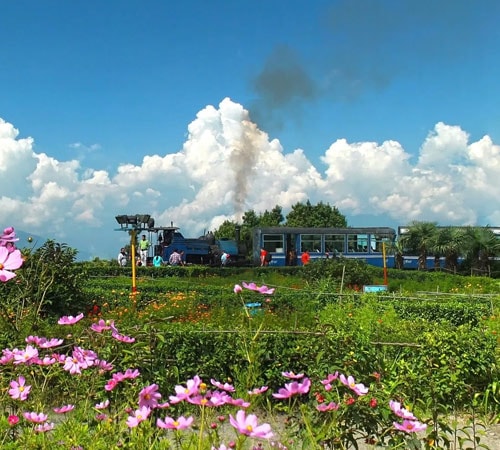 Beautiful Darjeeling Tour